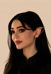 اختيارات دارين